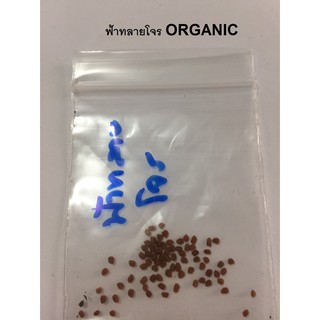 เมล็ดพันธุ์ต้นฟ้าทะลายโจร พืชสมุนไพร ฟ้าทลายโจร ปราศจากสารเคมี organic