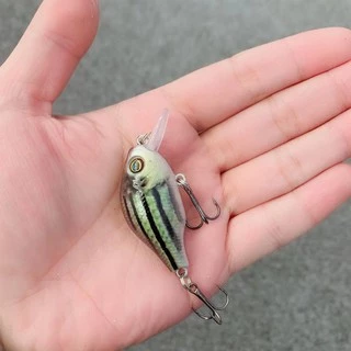 Syfishing เหยื่อตกปลา สีสันสดใส 5.2 ซม. เหยื่อตกปลา แบบลอยน้ํา 8.5 กรัม
