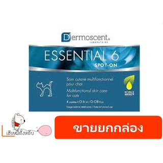 Dermoscent Essential 6 Cat spot-on ยาหยดหลัง สำหรับบำรุงผิวในแมว 1 กล่อง บรรจุ 4 หลอด (EXP.2023)