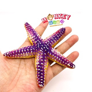 Monkey Toys - โมเดลสัตว์ ปลาดาว ขนาด 11.00 CM (จากหาดใหญ่)