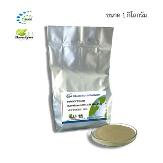 iKnowZyme Amylase Powder  เอนไซม์แอลฟา-อะไมเลส ขนาด 1 กิโลกรัม