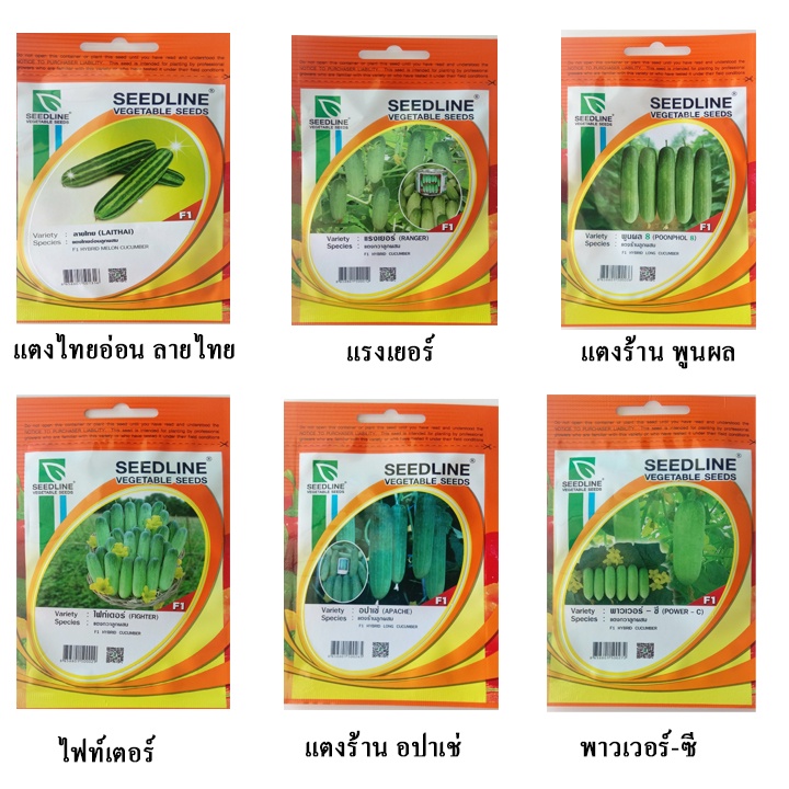 เมล็ดพันธุ์แตง (cucumber seeds) เมล็ดแตงกวาหอม เมล็ดแตงกวาดอย เมล็ดแตงกวาขาว เมล็ดแตงกวาจีน เมล็ดแตงกวาศรแดง เมล็ดผัก