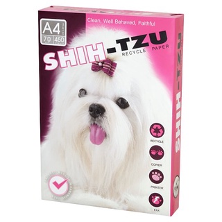 🔥The Best!! ชิห์สุ กระดาษถ่ายเอกสาร ขนาด A4 210 x 297มม. 70 แกรม 450 แผ่น Shih-Tzu A4 210 x 297mm 70gsm Recycle Paper 45