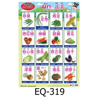 คำศัพท์ภาษาจีน ผัก EQ-319 สื่อโปสเตอร์ภาพ กระดาษ หุ้มพลาสติก