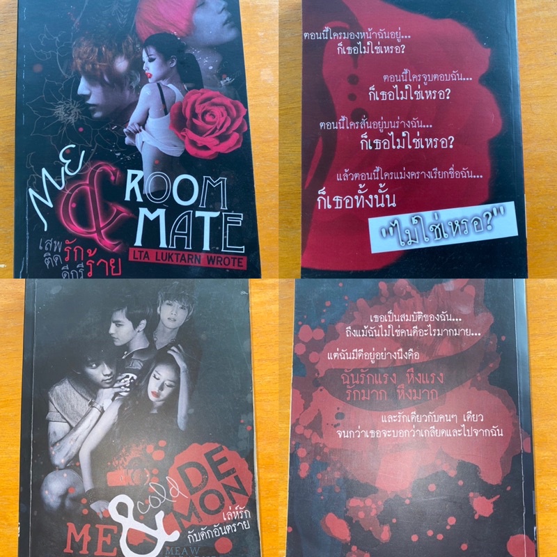 [นิยายทำมือ] เซ็ต ME ปกเก่า เรื่อง ME&ROOMMATE และ ME&COLD DEMON โดย LTA Luktarn & Meaw Paradise