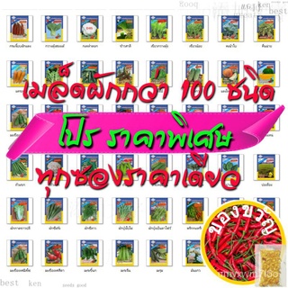 เมล็ดอวบอ้วน100%เมล็ดพันธุ์ผัก  สามเอ ผักซอง 100 ชนิด {คละชนิดผักได้ กดเพิ่มสินค้า จะมีตัวเลือกชนิดผักให้กด} เมล็ดใหม่ เ