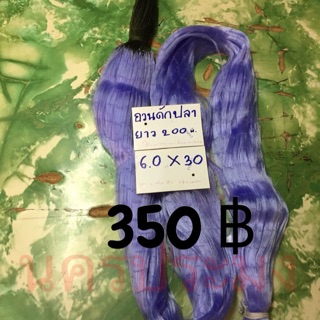 อวนดักปลาแบบไม่มีลูกถ่วง มองปลิว ขนาดตา 6.0 ซม.*30 ตา*ยาว 200 ม.