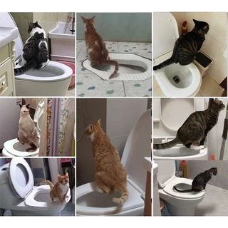 AL-086 CitiKitty อุปกรณ์ฝึกแมวขับถ่ายให้เป็นที่ ชุดฝึกแมวเข้าห้องน้ำ กระบะทรายแมว ฝึกได้ทุกวัย 🔥 พร้อมส่ง 🔥