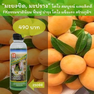 บำรุงมะยงชิด บำรุงมะปรางหวาน ฉีดพ่น FKธรรมชาตินิยม