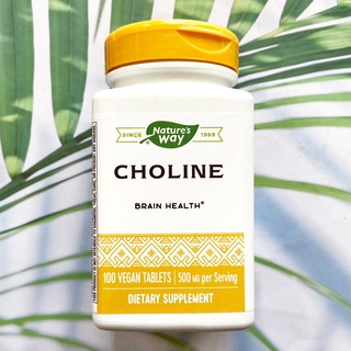 โคลีน Choline 500 mg 100 Vegan Tablets (Natures Way®) บำรุงสมอง ช่วยเร่งกระบวนการเผาผลาญไขมัน