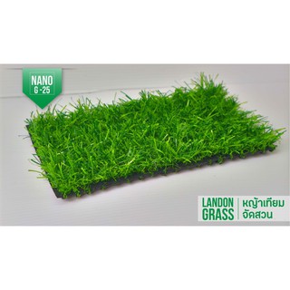 หญ้าเทียมนาโน รุ่น Nano-G25 ความสูง 2.5 cm