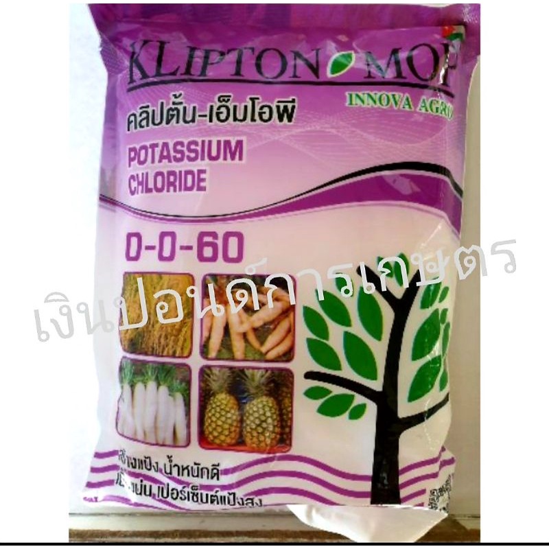ปุ๋ยเกล็ด 0-0-60 คลิปตั้น สำหรับละลายน้ำฉีดทางใบ 1 กก.