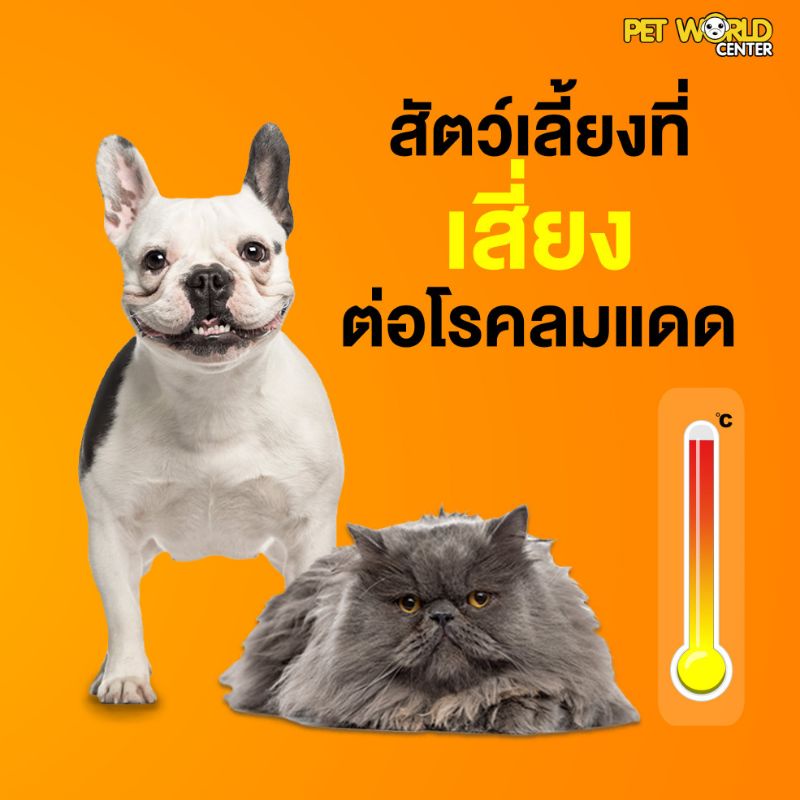 Petme lyte เพ็ทมีไลท์ เกลือแร่ผสมวิตามินกลิ่นตับ เกลือแร่สุนัขและแมว(15g./ ซอง) - รูปที่ 5