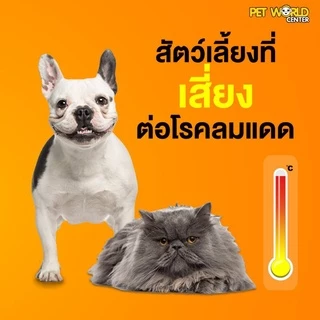 Petme lyte เพ็ทมีไลท์ เกลือแร่ผสมวิตามินกลิ่นตับ เกลือแร่สุนัขและแมว(15g./ ซอง)