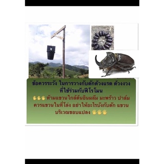 ชุดน้ำยาฟีโรโมนล่อด้วงแรด+ถังล่อด้วง ใช้ในสวนมะพร้าว อินทผาลัม ปาล์ม