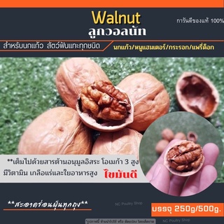 วอลนัท Walnut สำหรับนกแก้ว หนูแฮมเตอร์ กระรอก แพรี่ด็อก (แบ่งขาย 250g./500g.)