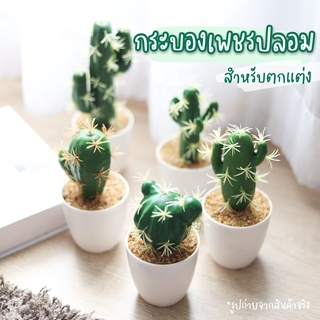 [พร้อมส่ง🌵] ต้นกระบองเพชรปลอม ตกแต่ง ต้นไม้ปลอม กระบองเพชรสำหรับตกแต่ง ประดิษฐ์