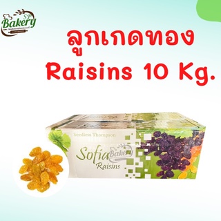 ลูกเกดทอง ยี่ห้อ โซเฟีย (sofia raisins) ยกลัง 10 Kg. ลูกเกด