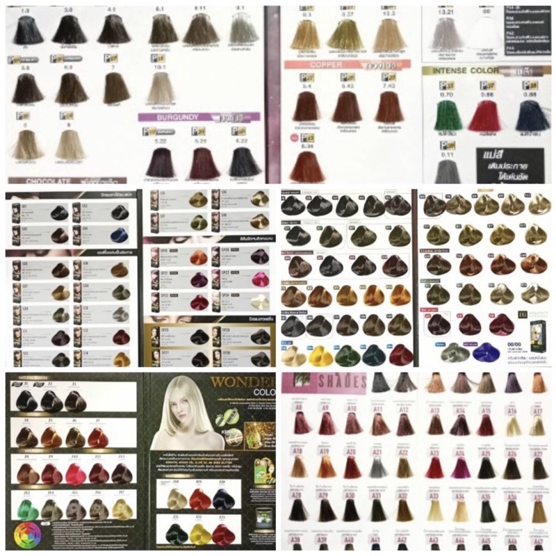 แผงสีผม ชาร์ทสีผม ตัวอย่างสีผม(ดีแคช,ดิ๊พโซ่,โลแลน พิกเซล,ฟาร์เกอร์,จัสท์โมเดอร์น,เบอริน่า,ซันปุโซะ)