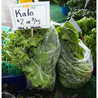 เมล็ดสมุนไพร kale (Dwat green) คะน้าใบหยิก