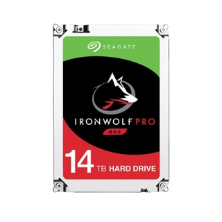 HARDDISK ENTERPRISE ST14000NE0008_5Y
