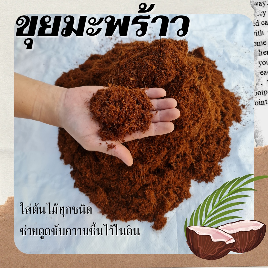 ขุยมะพร้าว 10 ลิตร บรรจุถุง สดใหม่ จากต้นมะพร้าว ออร์แกนิค ไม่มีสารตกค้าง