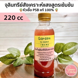 พร้อมส่ง🪴✅ จุลินทรีย์สังเคราะห์แสงสูตรเข้มข้น หัวเชื้อ PSB แท้ 100% ปุ๋ยน้ำ ปริมาตร 220 cc