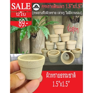 กระถางจิ๋วผิวทรายธรรมชาติ1.5"x1.5"