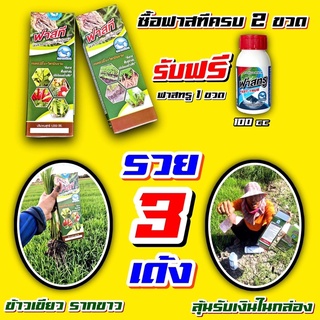 (ฟาสที) 1 ลิตร  ดินดี ดินเทพ 4tree ใช้!!!เข้ม10 เท่า รากยาวขาวสะอาด ลดปุ๋ยได้30-40% ใช้ได้ถึง20-30 ไร่