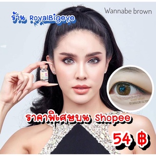 คอนแทคเลนส์ 🎊Wannabe Brown🎊(Gaezz Secret) สีน้ำตาลขนาดมินิคมหวานเซ็กซี่ขายดี