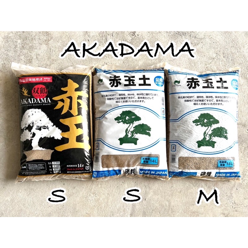 Akadama soil อคาดามะ ดินญี่ปุ่น ดินปลูกแคคตัส กระบองเพชร โรยหน้าแคคตัส