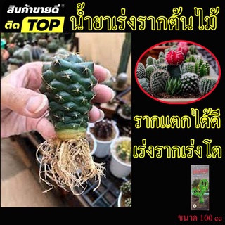 สูตรเข้มข้น! ยาเร่งราก เร่งการโต เเคคตัส กระบองเพชร ไม้ดอกไม้ประดับ ไม้ดอกปลูกใหม่  พื้นตัวเร็ว ขนาด 100 cc.