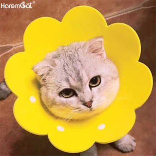 Harmcat คอลล่าดอกไม้ คอลล่ากันเลียแผล คอลล่าสัตว์เลี้ยง คอลล…