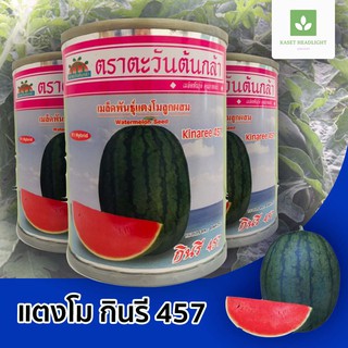 กินรี 457 เมล็ดพันธุ์แตงโม  🍉แตงโมกินรี ตะวันต้นกล้า