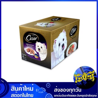 มัลติแพ็ค อาหารสุนัขชนิดเปียก รสเนื้อแกะ 100 กรัม (6แพ็ค) ซีซาร์ Cesar Multipack Dog Food Lamb อาหารสำหรับสุนัข อาหารหมา