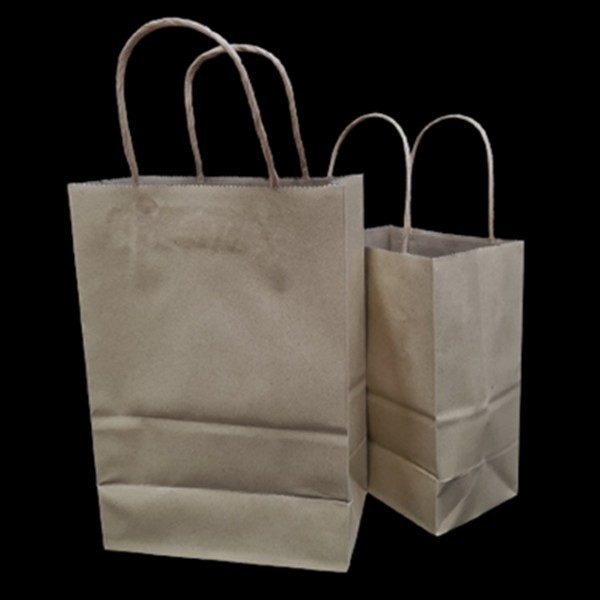 (1 ใบ) ถุงกระดาษพร้อมหูหิ้วแบบเกลียว