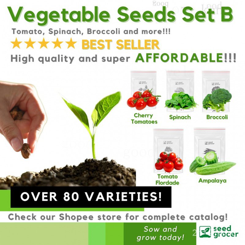 High Quality Vegetable Seeds Collection B- Cherry Tomato Seeds Red ...