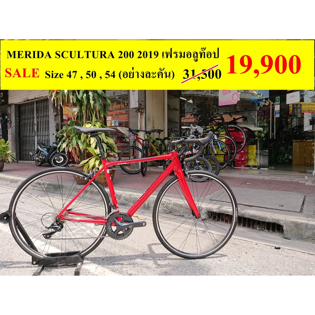 scultura 200 2019