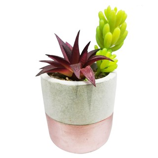 ไม้อวบน้ำในกระถางเซรามิค 02 ARTIFICIAL POTTED PLANT WITH POT SPRING 02