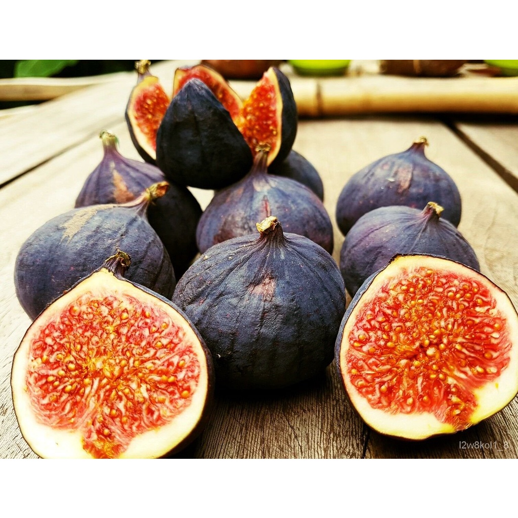 (ready stock)20pcs Seeds Black Turkish Bursa Cowardly, Black Bursa Fig
