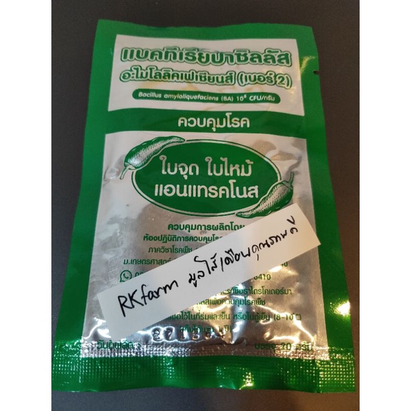 แบคทีเรียบาซิลลัส เบอร์2 ควบคุมโรคใบจุด ใบไหม้ แอนแทรคโนส ขนาดบรรจุ 20 กรัม