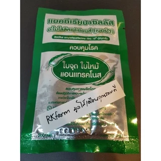 แบคทีเรียบาซิลลัส เบอร์2 ควบคุมโรคใบจุด ใบไหม้ แอนแทรคโนส ขนาดบรรจุ 20 กรัม