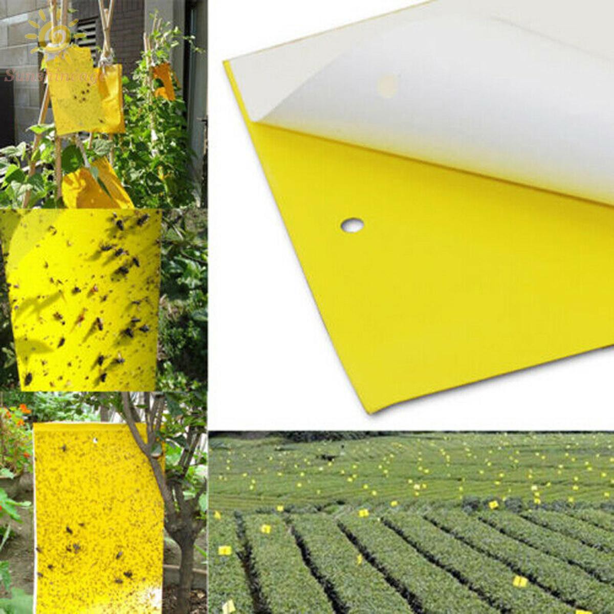 Bugs Sticky Boards Garden Orchard greenhouse use Sticky Fly Trap Yellow ...