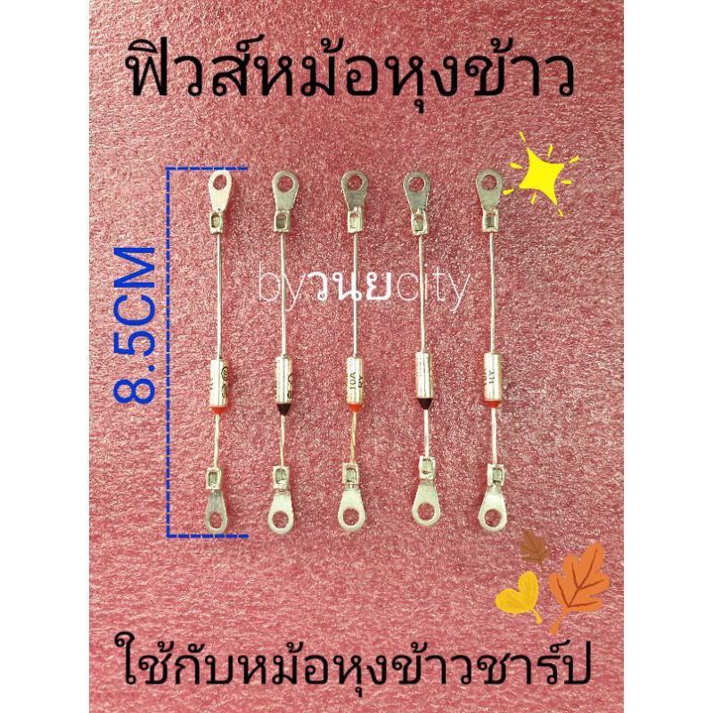 เทอร์โมฟิวส์หม้อหุงข้าว 169 , 142 ,170, 230องศา 10 แอป์ม  250V ราคาต่อ 1 ชิ้น