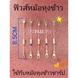 เทอร์โมฟิวส์หม้อหุงข้าว 169 , 142 ,170, 230องศา 10 แอป์ม  250V