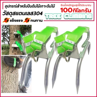 ที่ปีนต้นไม้ อุปกรณ์ปีนต้นไม้ Tree Climbing ปีนต้นไม้ ต้นไม้ อุปกรณ์เก็บผลไม้ รองเท้าเหล็กปีนต้นไม้ พร้อมส่งจากไทย