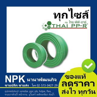 ตัวแปลงหน้าจาน สตับเอ็น พีพีอาร์ PPR (20 - 63 มม) ไทยพีพีอาร์ (ท่อพีพีอาร์ Thai PP-R )