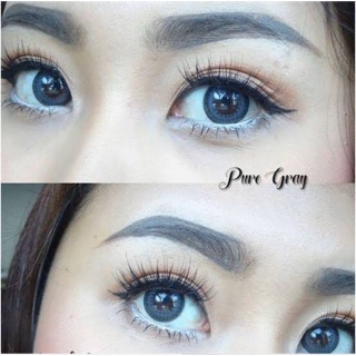 👜Bigeyes Pure Gray👜สายตา-4.00,-4.25(Dream color1)