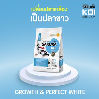 💥อาหารปลาคาร์ฟซากุระโค่ย สูตรเร่งโตเร่งขาว ขนาด 1.25 kg. ( SAKURA GROWTH &amp; PERFECT WHITE FORMULA )