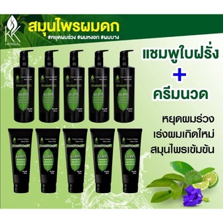 ป้องกันผมร่วง แชมพูสมุนไพรใบฝรั่งขนาด 300ml.5 ขวด +ครีมนวดผมขนาด 300ml.5 ขวด ลดผมร่วง เร่งผมเกิดใหม่